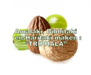 Triphala